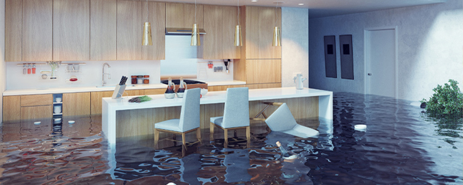 Flood Insurance Spring Banner