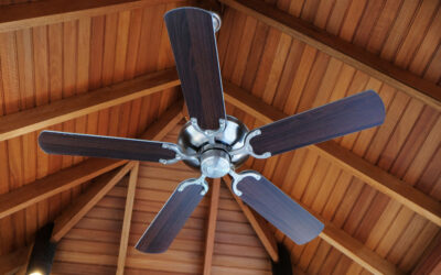 Mastering Your Ceiling Fan: Seasonal Comfort Hacks